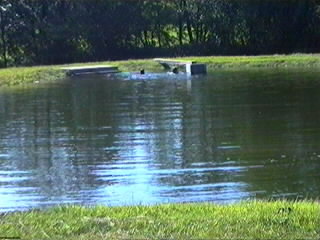 adv_03.jpg (22572 bytes)