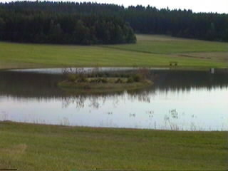 adv_20.jpg (13370 bytes)